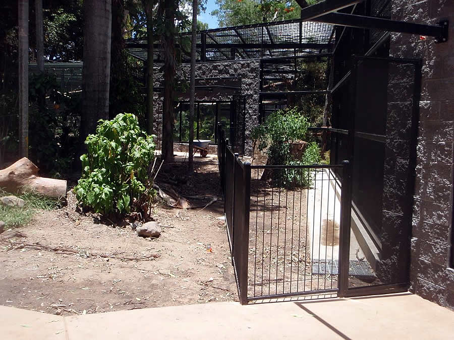 rockhampton zoo chimpanzee enclosure