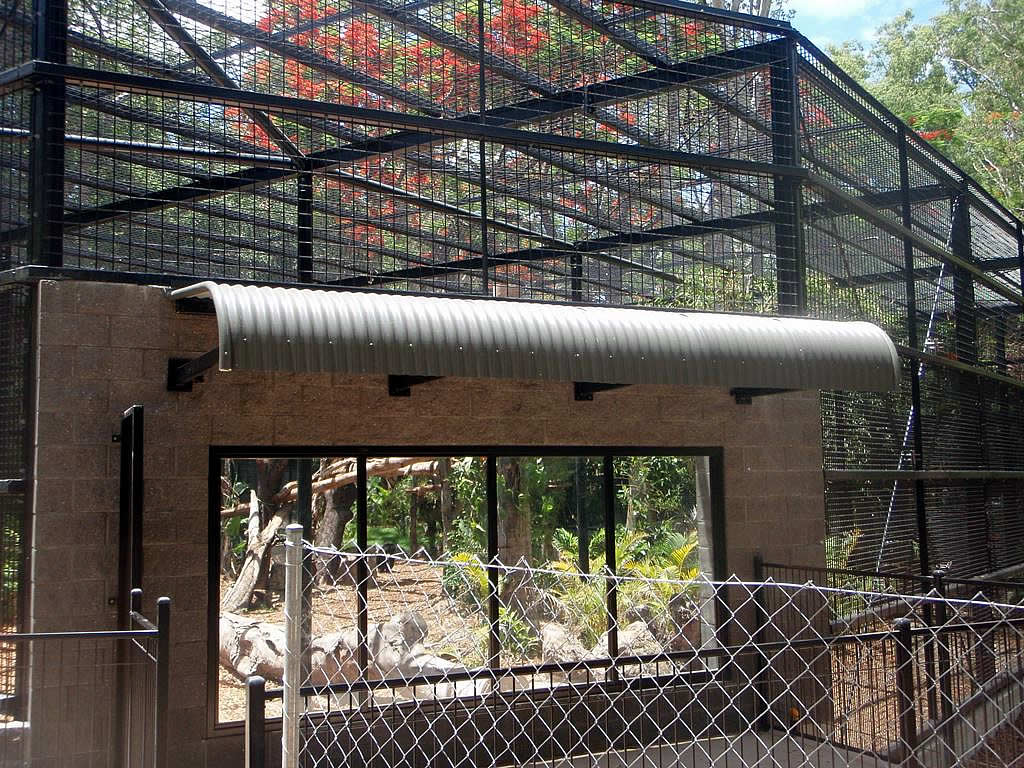 rockhampton zoo chimpanzee enclosure