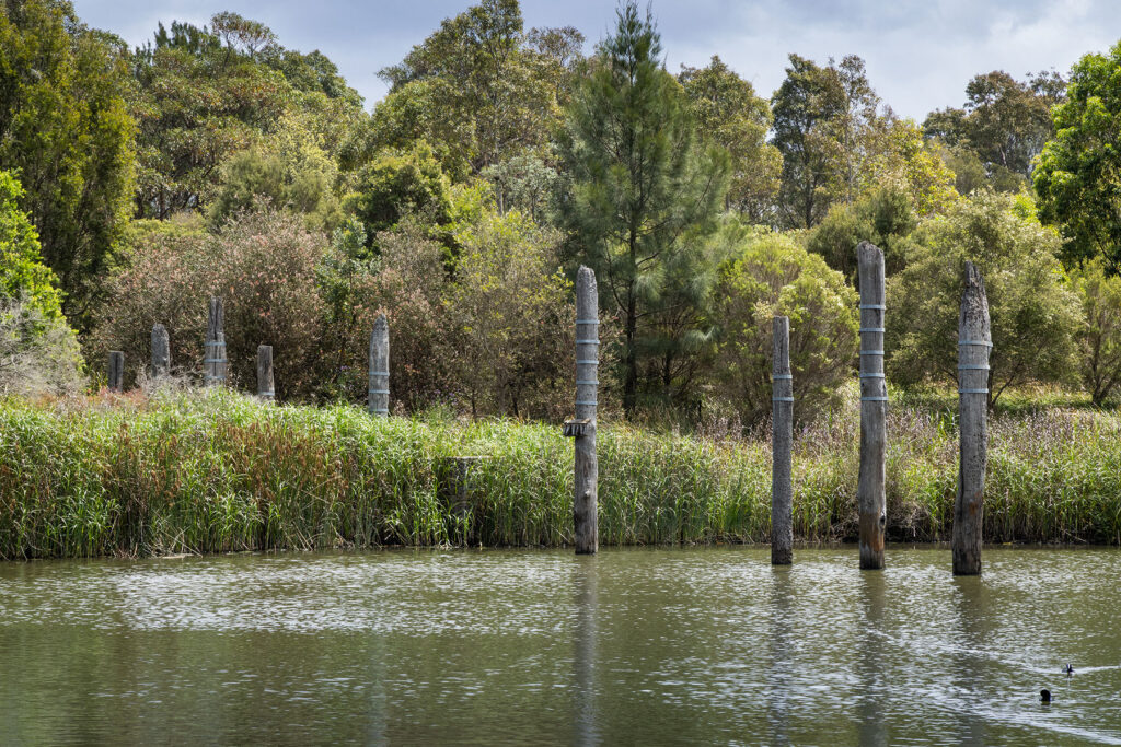 qmc group projects sydney park stormwater harvesting project