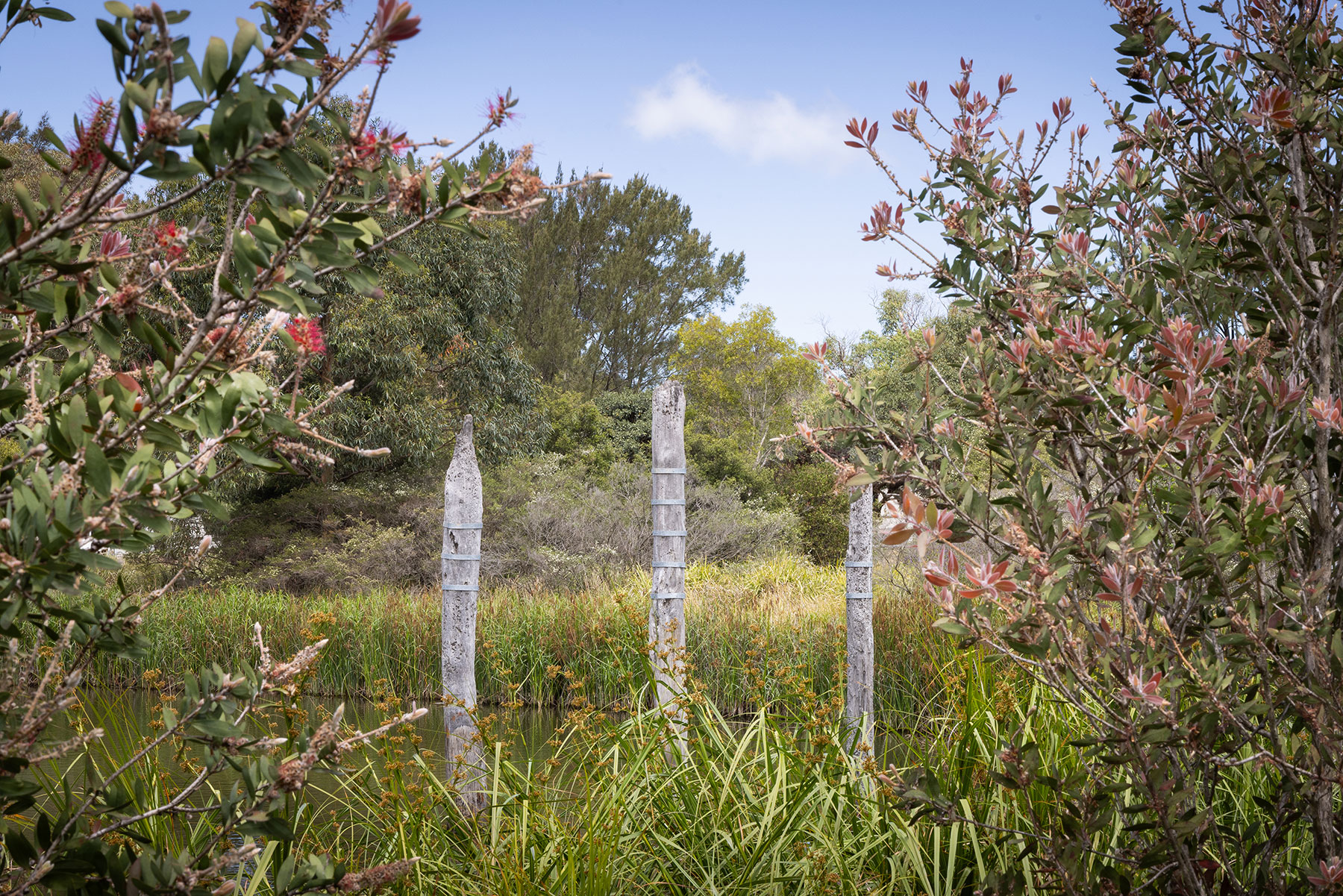 qmc group projects sydney park stormwater harvesting project