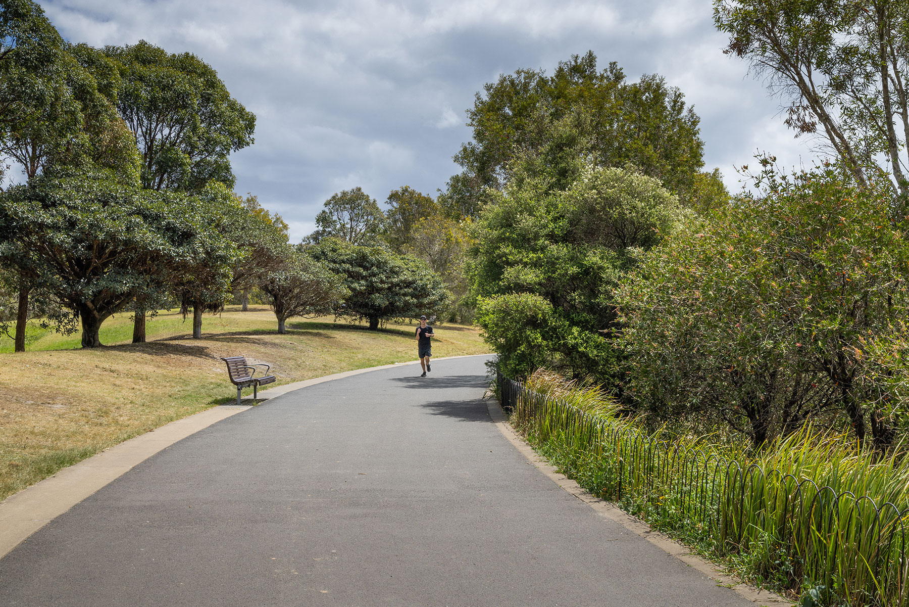 qmc group projects sydney park stormwater harvesting project